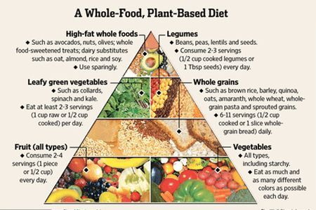 Beginner’s Guide to a Plant-Based Diet