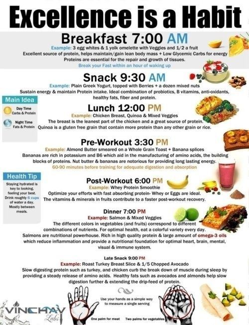 Best Healthy Diet Plans Backed by Science